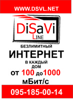 "DiSaVi Line" Интернет поселок Высокий LAN