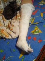 Беспридел и позор!